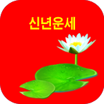 ������ �������Ǯ�� �ų⹫�����Ǯ��